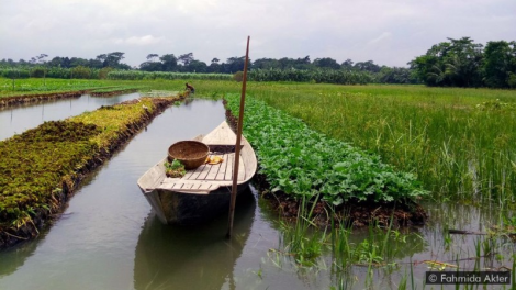 Vườn nổi giúp người dân ở Bangladesh thích ứng với biến đổi khí hậu (14/11/2021)