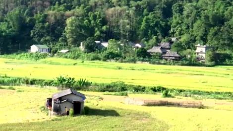 Lai Châu: Khó khăn khôi phục tỷ lệ bao phủ bảo hiểm y tế ở vùng cao (4/11/2021)