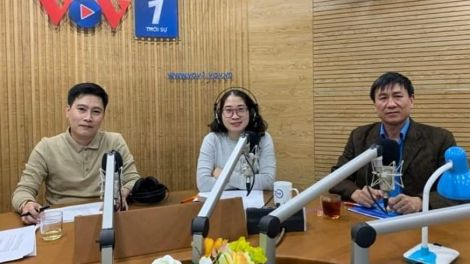 Tại sao lại khó xử lý hình sự tội trốn đóng bảo hiểm xã hội? (22/11/2021)