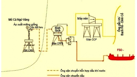 Petrovietnam: Tiên phong phát triển khoa học công nghệ (18/05/2021)