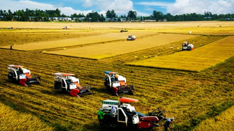 Hợp tác xã kiểu mới xây dựng chuỗi cung ứng nông sản làm “bà đỡ” cho nông dân (27/11/2021)