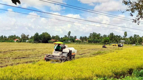 Giá vật tư phân bón tăng cao khiến người dân gặp khó trong vụ Đông Xuân (15/11/2021)