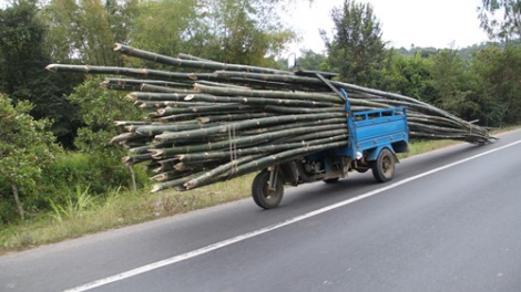 Tăng nặng chế tài xử lý vi phạm quy định an toàn giao thông: Cần nhưng chưa đủ (19/11/2020)