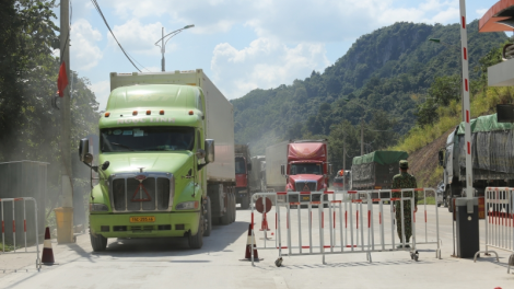 Lạng Sơn giữ vững "vùng xanh" tại khu vực cửa khẩu (30/11/2021)