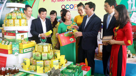 Phát triển kinh tế nông thôn từ sản phẩm OCOP (13//11/2021)