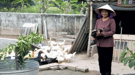 Tạo sinh kế cho người già neo đơn  (02/11/2021)