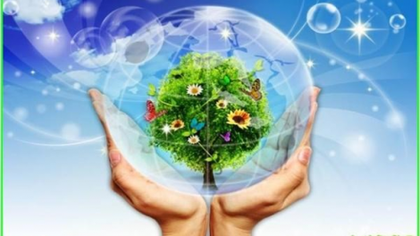 Doanh nghiệp chủ động thích ứng với biến đổi khí hậu (09/12/2021)
