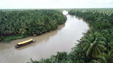 Xứ dừa chủ động phòng chống hạn, mặn mùa khô (7/12/2021)