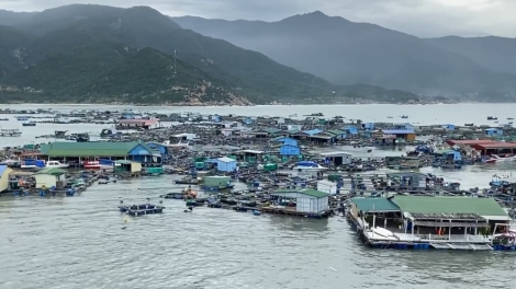 Ảnh hưởng bão số 9 tại Nam Trung Bộ: Nhiều khu dân cư ngập sâu, cuốn trôi lòng bè nuôi tôm hùm (20/12/2021)