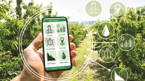 Thúc đẩy toàn diện chuyển đổi số ngành Nông nghiệp (15/12/2021)