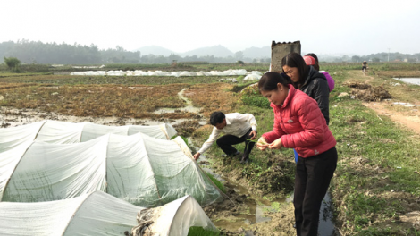 Các biện pháp ứng phó với rét đậm, rét hại (21/12/2021)