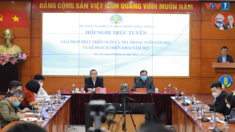 Bàn giải pháp gỡ khó cho ngành cá tra (09/12/2021)