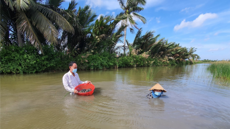 Cà Mau: Hiệu quả mô hình “vỗ béo” vọp trong vuông tôm (17/12/2021)