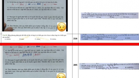 Nghi vấn lộ đề thi môn Sinh học trong kỳ thi tốt nghiệp THPT 2021: Dù đúng hay sai cũng cần công khai, minh bạch (28/12/2021)