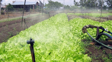 Tưới tiết kiệm, giải pháp cấp thiết của sản xuất nông nghiệp trong Biến đổi khí hậu (20/12/2021)