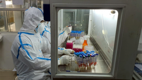 Thử nghiệm ban đầu vaccine COVIVAX có hiệu quả đối với virus biến chủng (27/2/2021)