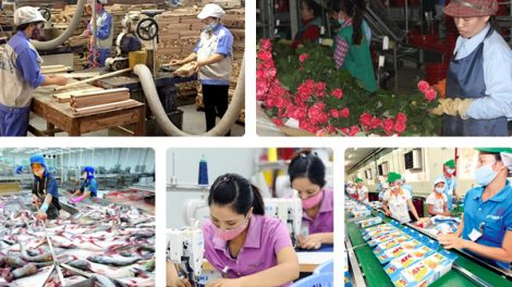 Đổi mới sáng tạo để phát triển kinh tế đất nước (18/2/2021)