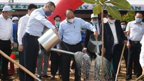THỜI SỰ 12H TRƯA 20/2/2021: Thủ tướng Nguyễn Xuân Phúc truyền thông điệp của Chương trình 1 tỷ cây xanh