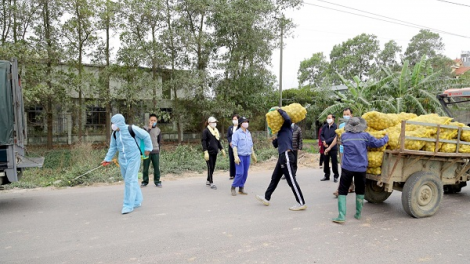 - Cần giải pháp cụ thể để tiêu thụ nông sản vùng dịch (24/02/2021)