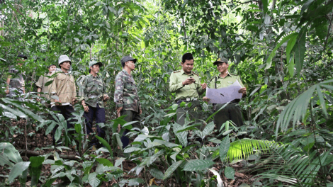 Những chiến sỹ kiểm lâm thức cho rừng ngủ yên (10/02/2021)