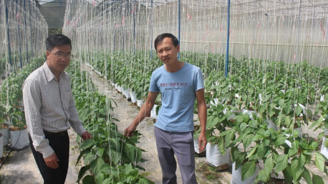 Xuân về trên xã vùng xa Phi Liêng (17/02/2021)