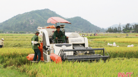 Hà Tĩnh định hướng phát triển kinh tế nông nghiệp giai đoạn 2021-2025 (19/02/2021)