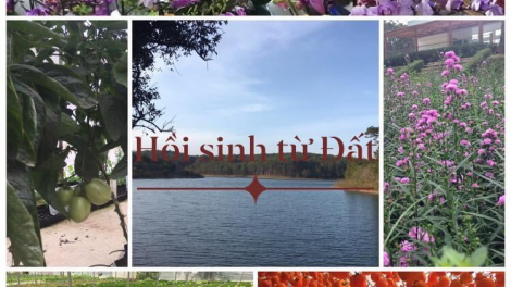 Hồi sinh từ Đất (Mùng 4 Tết - 15+16/02/2021)