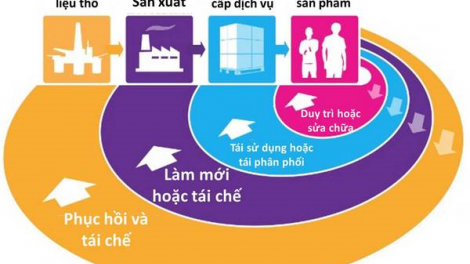 Việt Nam thúc đẩy kinh tế tuần hoàn trong thời kỳ mới (Ngày 03/02/2021)