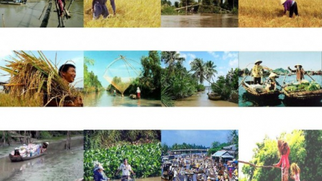Kết quả thực hiện Nghị quyết về phát triển bền vững Đồng bằng sông Cửu Long (13/3/2021)