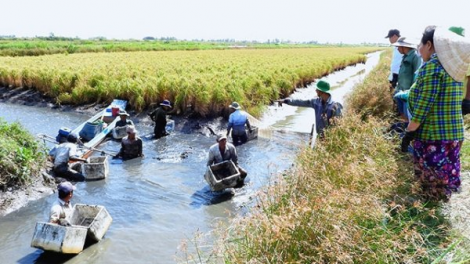 Ông Nguyễn Văn Thơi - người nông dân biến vùng đất phèn trở nên trù phú (1/3/2021)