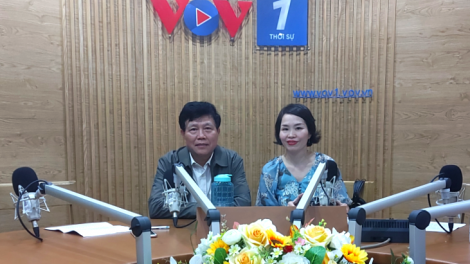 Niêm yết giá vận tải hành khách: Từ quy định tới thực tiễn thị trường kinh doanh vận tải (18/03/2021)