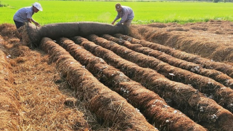 Phế phụ phẩm cũng có thể sinh lời! (20+21/03/2021)