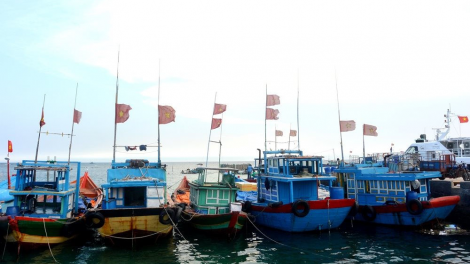 THỜI SỰ 6H00 NGÀY 20/03/2021: Nhiều chủ tàu cá tại tỉnh Quảng Ngãi vi phạm qui định trong khai thác thủy sản.