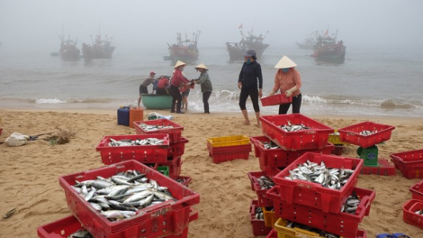 Ngư dân Quảng Bình vươn khơi đón lộc đầu năm ( 01+02/03/2021)