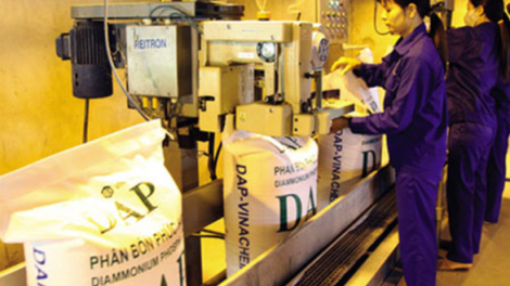 Giá phân bón liên tục tăng đột biến, liệu có sự đầu cơ? ( 05/03/2021)