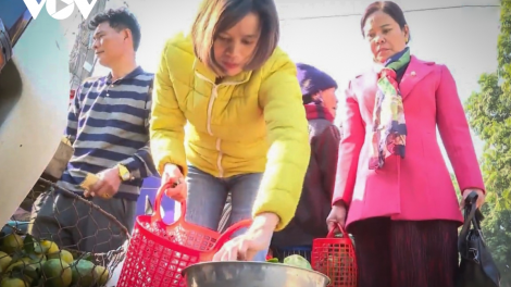 Dùng làn đi chợ mỗi ngày, phong trào thiết thực do Hội phụ nữ tỉnh Lào Cai tổ chức (t18/03/2021)