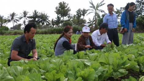 Sản xuất rau, trái cây an toàn: hướng phát triển kinh tế mới ở Gia Lai (06 + 07/03/2021)
