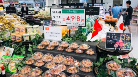 THỜI SỰ 21H30 ĐÊM 31/03/2021: Quả vải thiều Lục Ngạn, Bắc Giang, chính thức được bảo hộ chỉ dẫn địa lý tại Nhật Bản