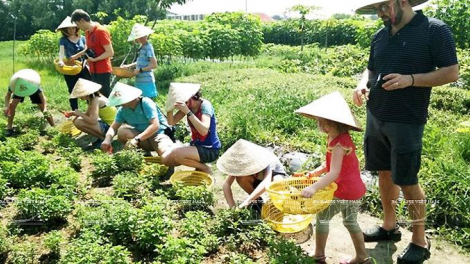 Du lịch nông nghiệp - đưa ngành “công nghiệp không khói” đến với nông dân (14/04/2021)