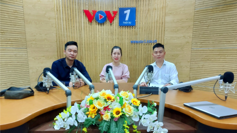 Cơ hội nào cho hộ kinh doanh và doanh nghiệp siêu nhỏ khi giao thương trực tuyến? (25/04/2021)