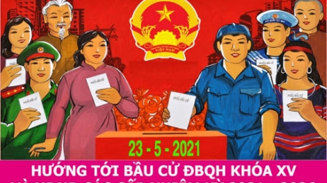 Giải quyết khiếu nại tố cáo của cử tri đối với người ứng cử Đại biểu QH, đại biểu HĐND các cấp thực hiện như thế nào?