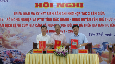 Bắc Giang: Vùng an toàn dịch bệnh đối với gia cầm đầu tiên ở miền Bắc (26/4/2021)