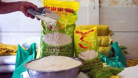 Bảo hộ quyền sở hữu trí tuệ tại nước ngoài: Đừng để “mất bò mới lo làm chuồng” (26/4/2021)