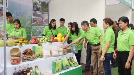 THỜI SỰ 12H TRƯA 11/4/2021: Đưa đặc sản địa phương vùng cao lên sàn giao dịch TM điện tử - hướng đi mới giao thương của nhiều địa phương vùng cao