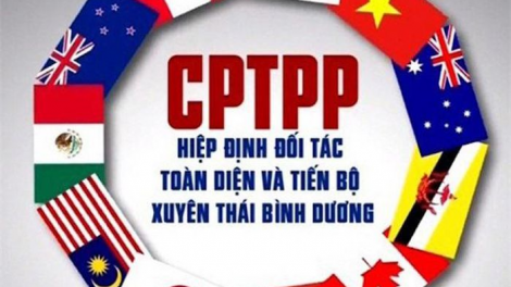 Hai năm thực thi CPTPP - Lợi ích thực tế và tiềm năng chưa được khai phá (08/04/2021)