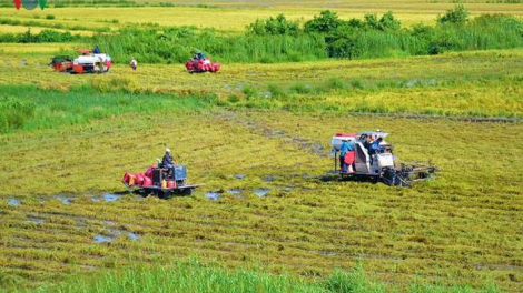 Chuyển đổi cơ cấu sản xuất- nông nghiệp ĐBSCL thích ứng với biến đổi khí hậu (07/04/2021)