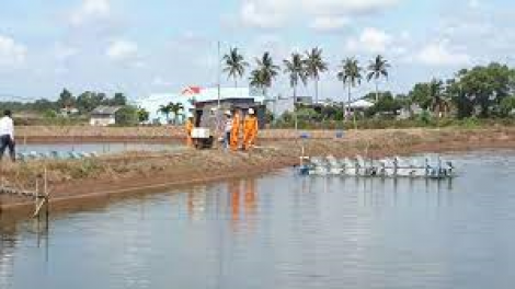 Du lịch Caravan: Xu hướng du lịch mới trong mùa dịch Covid 19 (Ngày 06/04/2021)