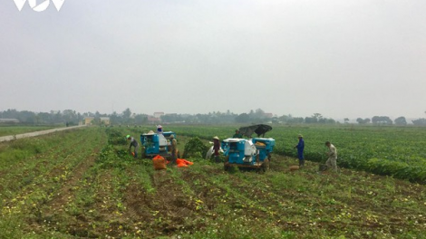 Hợp tác xã nông nghiệp “hoạt động” trên giấy ở Bắc Kạn (06/04/2021)