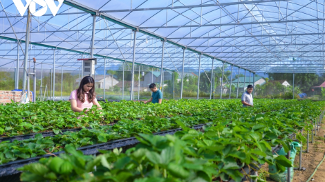 Thay đổi tư duy để xây dựng hệ sinh thái kinh tế nông nghiệp (20/04/2021).