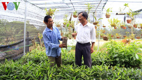 Chiến lược phát triển ngành Lâm nghiệp Việt Nam giai đoạn 2021 – 2030: Xây dựng chuỗi giá trị bắt đầu từ khâu giống.